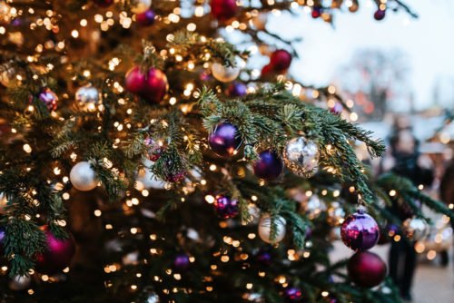 Weihnachtsbeleuchtung im Garten: Tipps & Ideen für einen