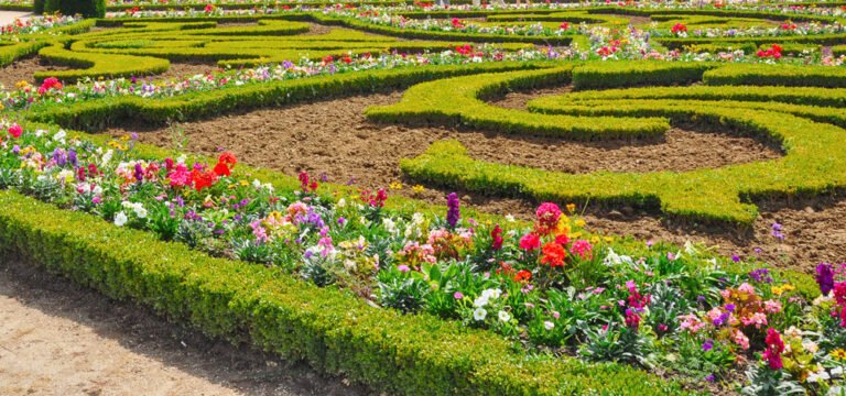 Französischen Garten anlegen – Unsere Tipps für die Umsetzung