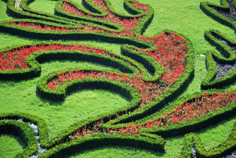 französischer Garten Pflanzen