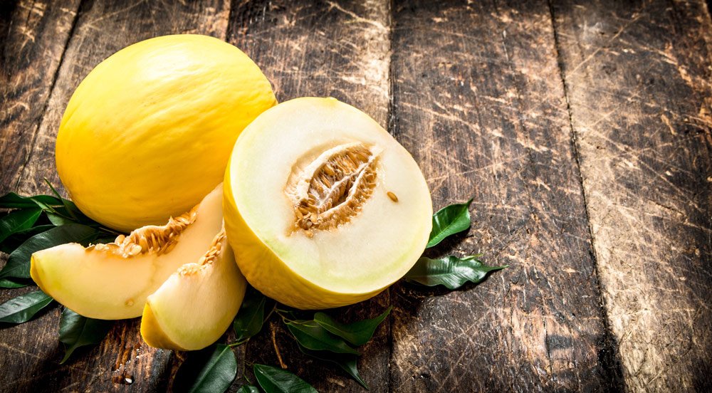 Honigmelone Honigmelone