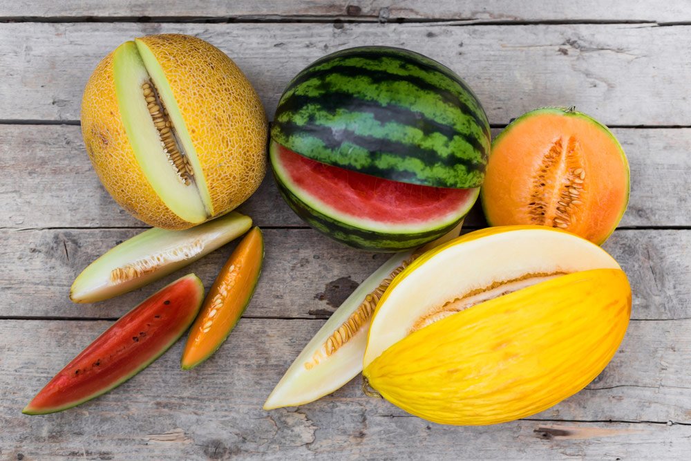 Melonensorten für den Gartenanbau – Diese 5 gedeihen auch bei uns