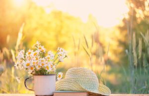 Gänseblümchen: Anbau, Pflege und Rezepte