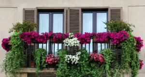 Balkon mit Blumen bepflanzen