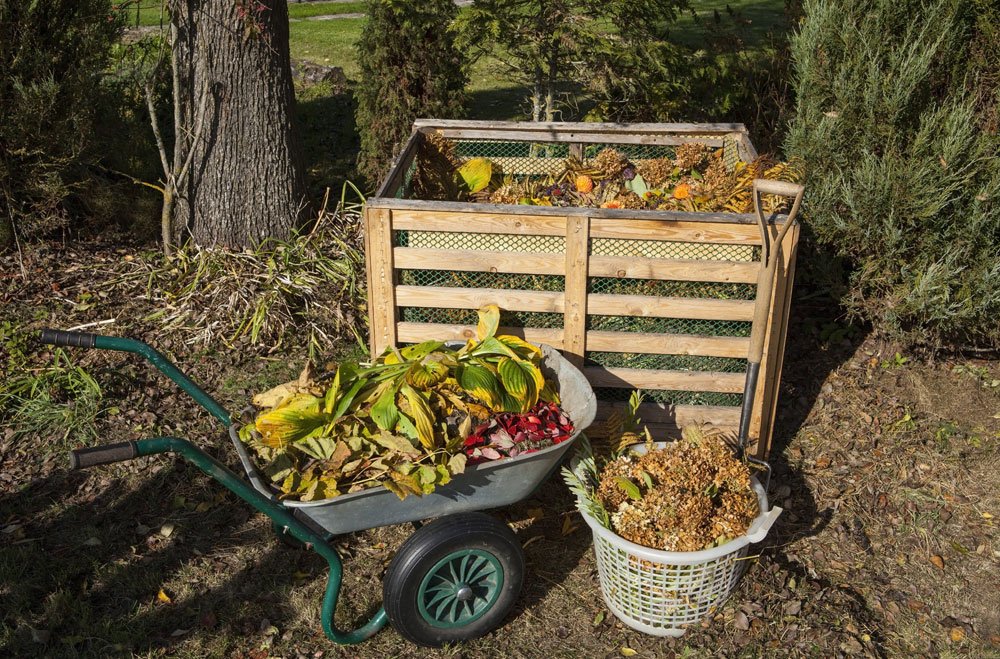 Biologischer Dünger ist beim Obst- und Gemüseanbau ein Muss Biologischer Dünger