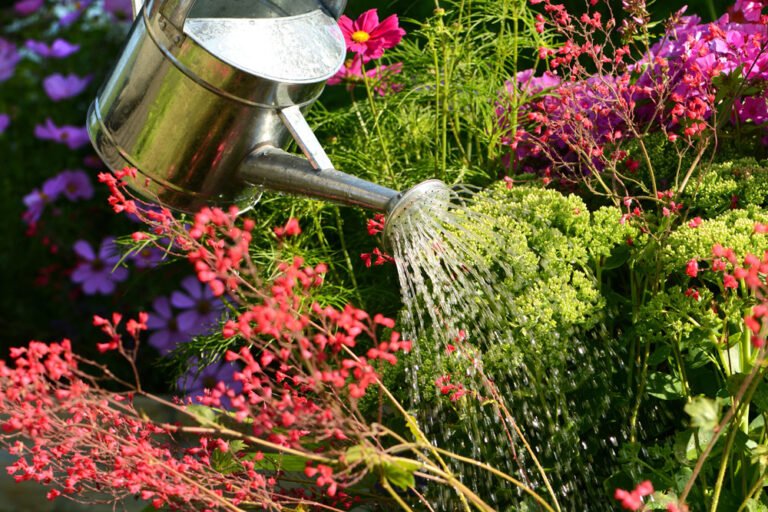 Hochwertiger Rasensprenger Bewässerung für Gartenpflanzen Bewässerung Sprin 