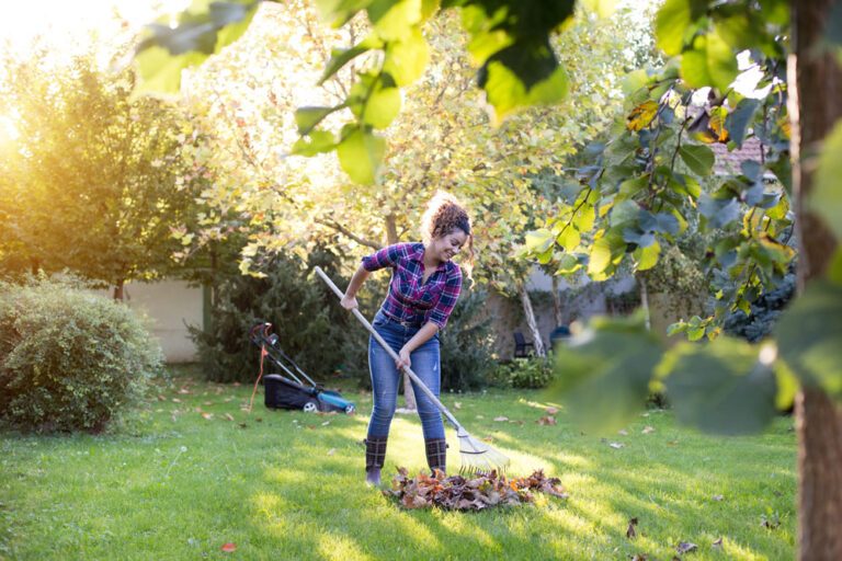 Gartenrechen kaufen – Tipps für Modell- und Materialauswahl