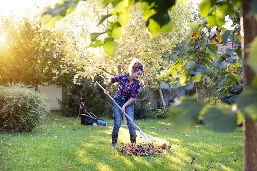 Tipps: Gartenrechen kaufen