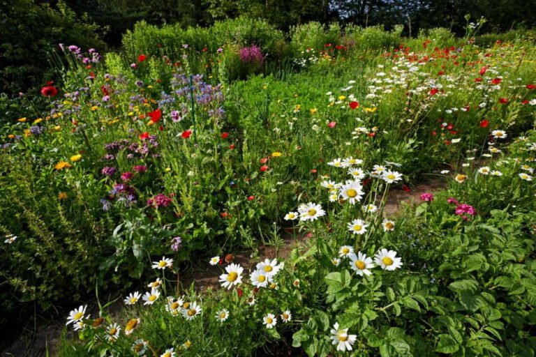 Gartenstile: 5 beliebte Gartentypen vorgestellt