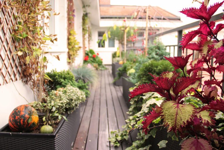 Nordbalkon bepflanzen – Pflanzen & Pflegehinweise für den Schattenbalkon vorgestellt
