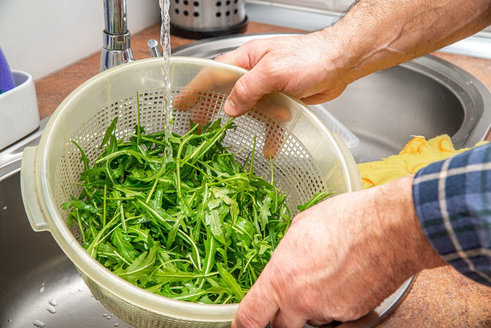 Rucola lagern – So bleibt der Salat länger frisch