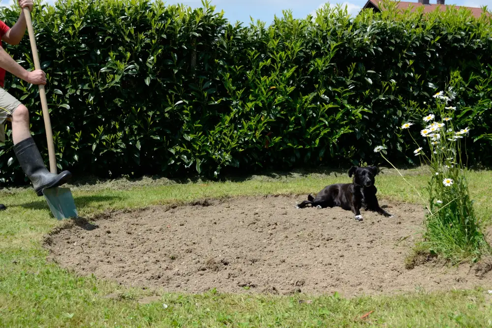 Kräuterspirale selber bauen