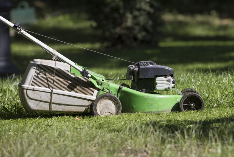 Nassen Rasen mähen – Das sollten Sie dabei beachten