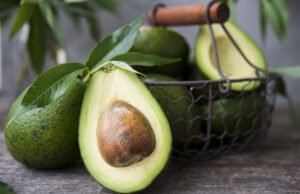 Avocado lagern