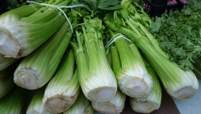 Sellerie Nährwerte – So gesund ist das Gemüse wirklich