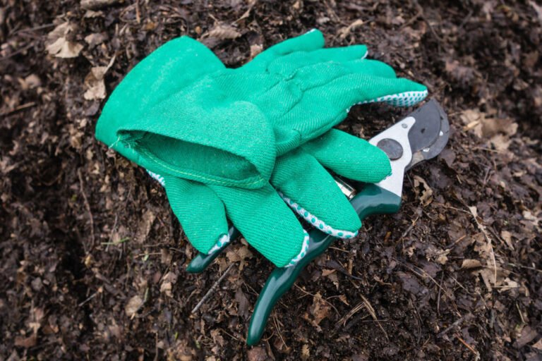 Wichtige Kriterien für gute Gartenhandschuhe – Darauf kommt es an