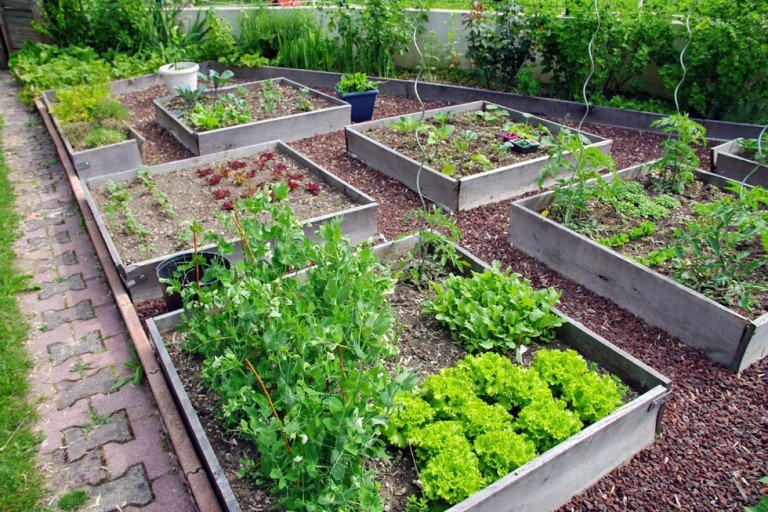 Kräutergarten gestalten – 21 Ideen für große und kleine Gärten