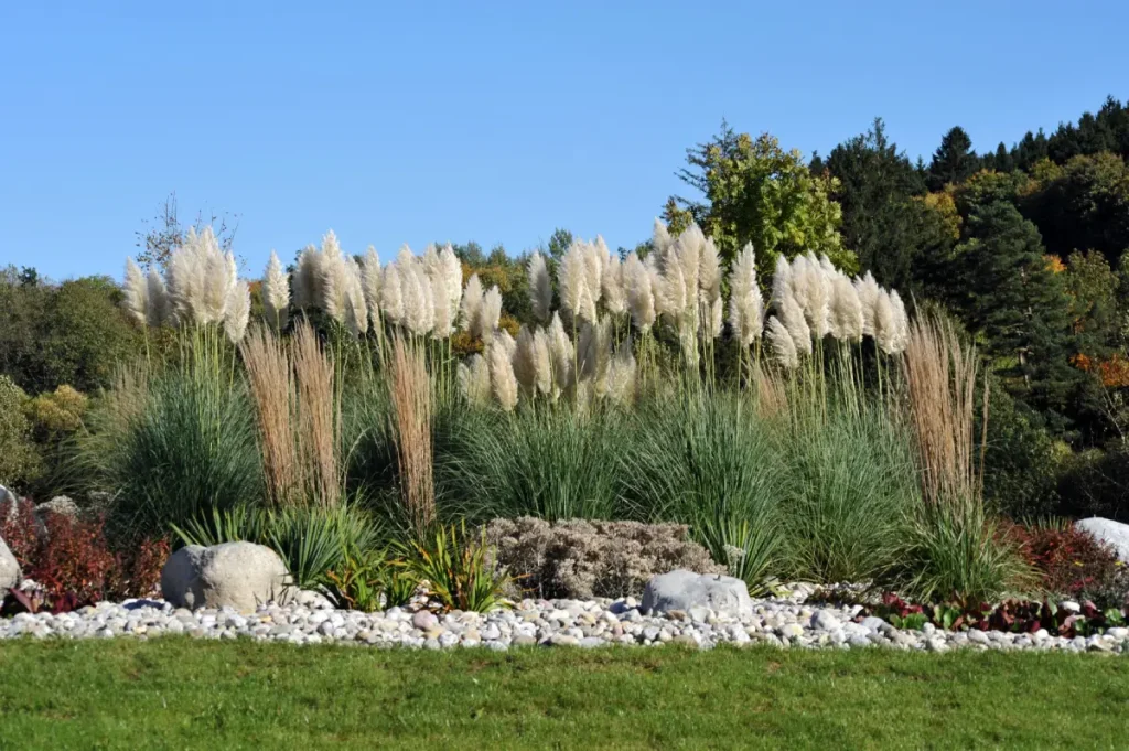 Ein Inselbeet bepflanzt mit hohen Gräsern dient als Sichtschutz im Garten.