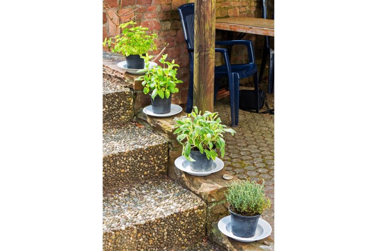 Kräutergarten gestalten - 21 Ideen für große und kleine Gärten