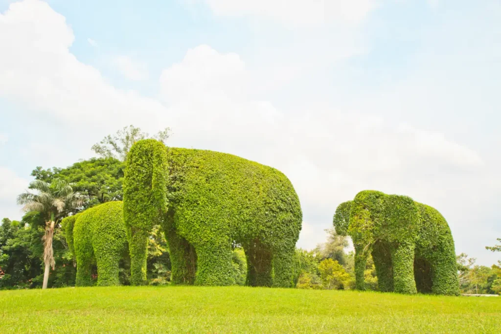 Büsche wurden zu Elefanten zurecht geschnitten und dienen als Sichtschutz.