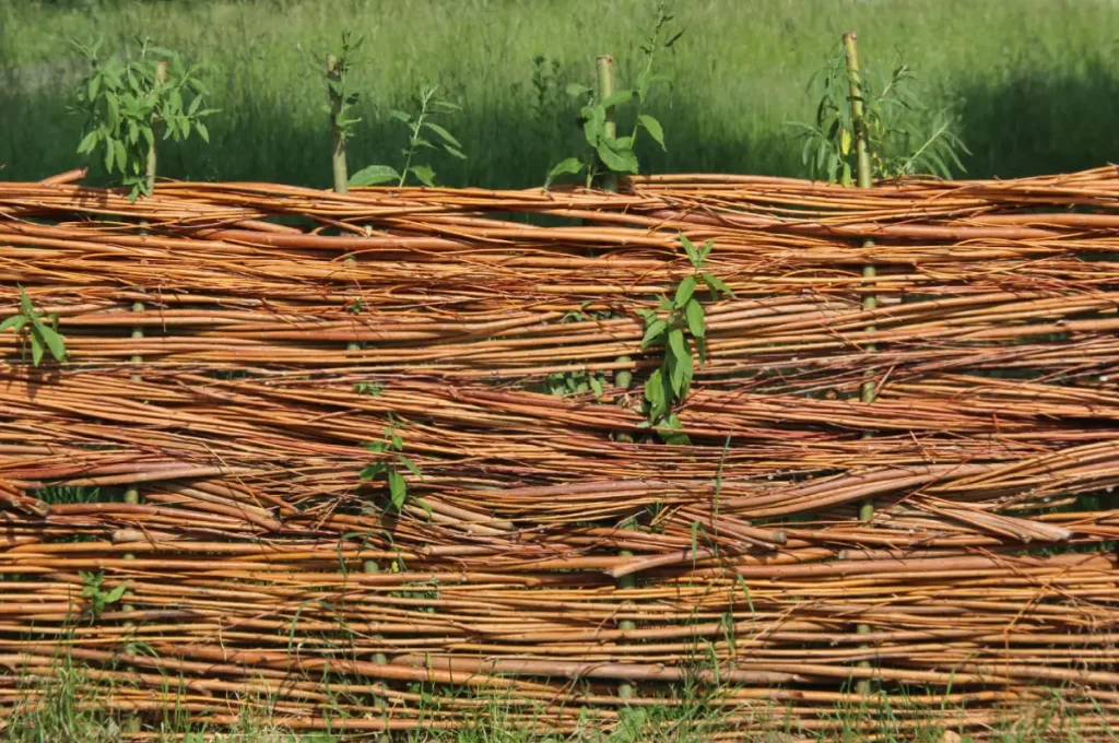 Geflochtener Weidezaun dient als Sichtschutz.