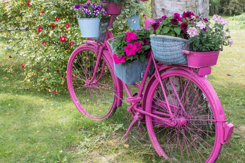 Bepflanztes Fahrrad
