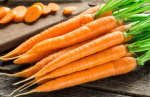 Karotten gesund