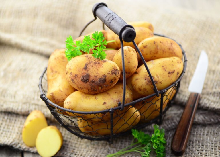 Kartoffeln im blumentopf - Alle Produkte unter der Menge an verglichenenKartoffeln im blumentopf