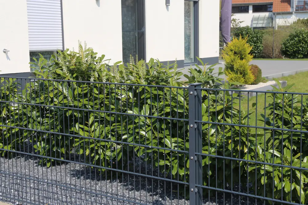 Doppelstabmattenzaun mit klarer Linienführung.