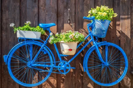 Altes Fahrrad wurde mit Hängeampeln und üppigen Blumen dekoriert.