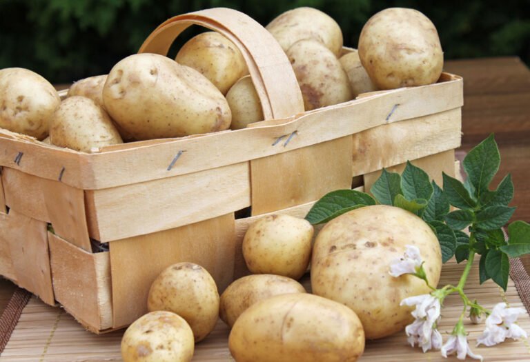 Kartoffeln einfrieren – Ist das möglich?