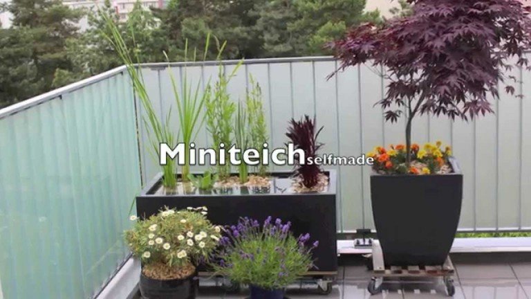 Video: Miniteich für Balkon und Terrasse – So schnell wird aus einem Blumenkübel eine kleine Teichoase