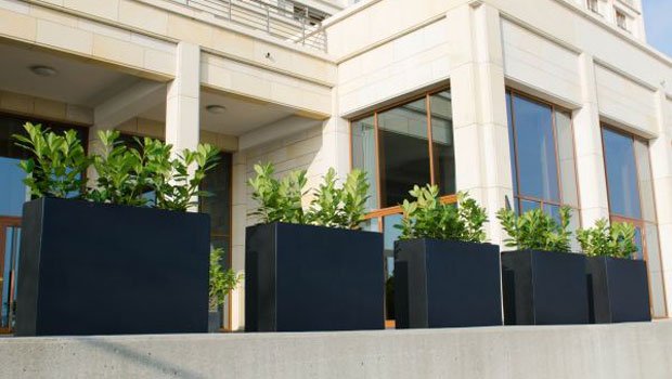 Sichtschutz für Terrassen - 5 stilvolle Varianten - Pflanzkübel