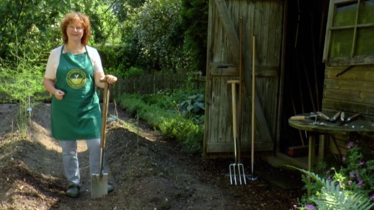 Video: Gartenwerkzeuge – Das gehört in jede Grundausstattung