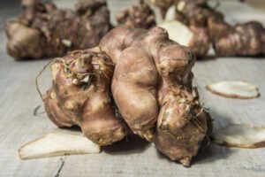 Topinambur im Topf pflanzen