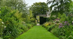 Englischer Rasen
