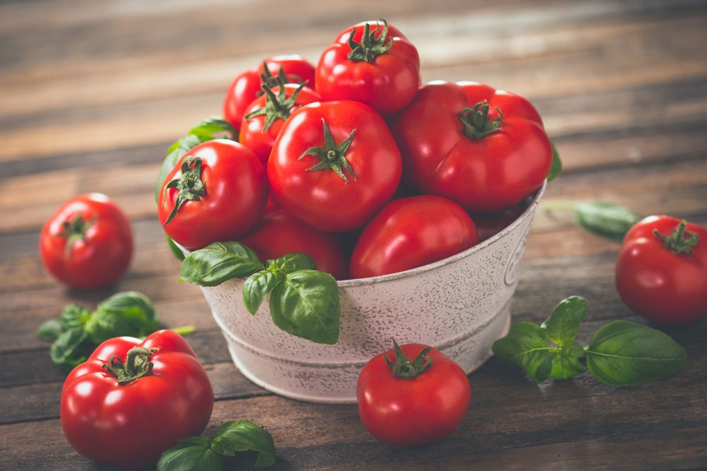 Tomaten ernten: Tipps zum richtigen Zeitpunkt