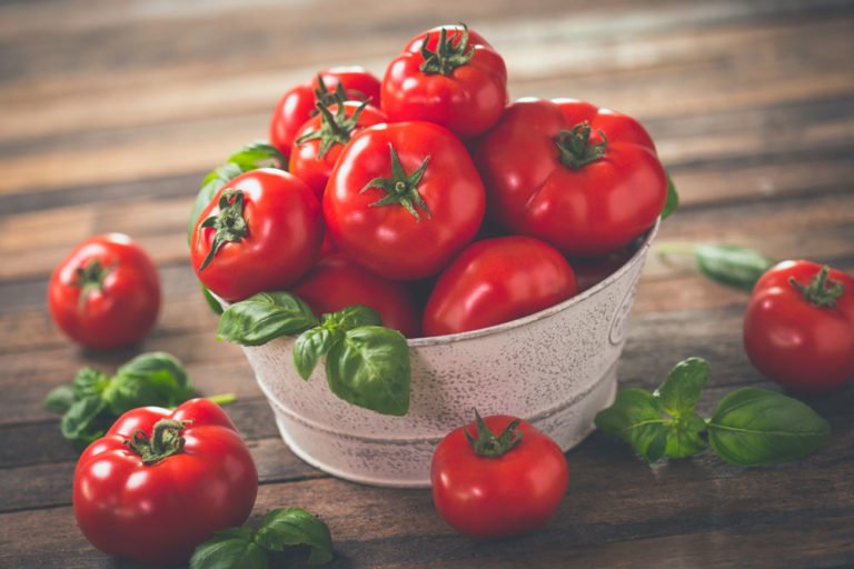 Tomaten haltbar machen – 4 Möglichkeiten vorgestellt