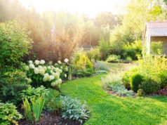 Ideen Für Sichtschutz Im Garten