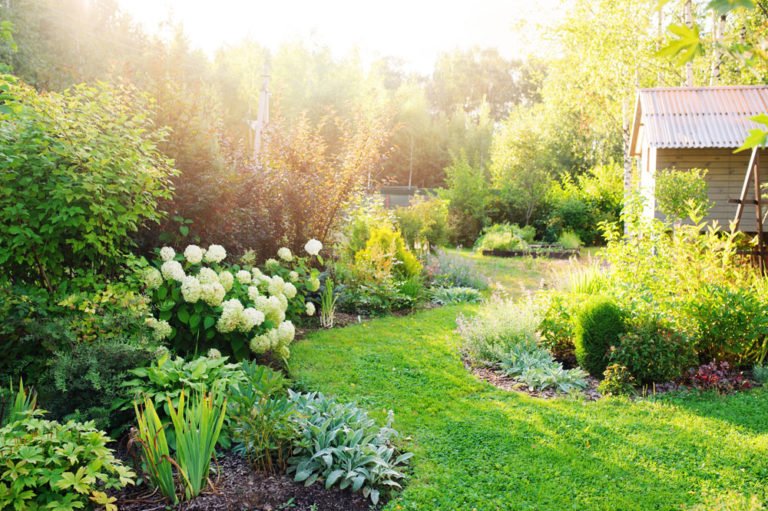 Schmalen Garten breiter wirken lassen – 5 leicht umzusetzende Tipps