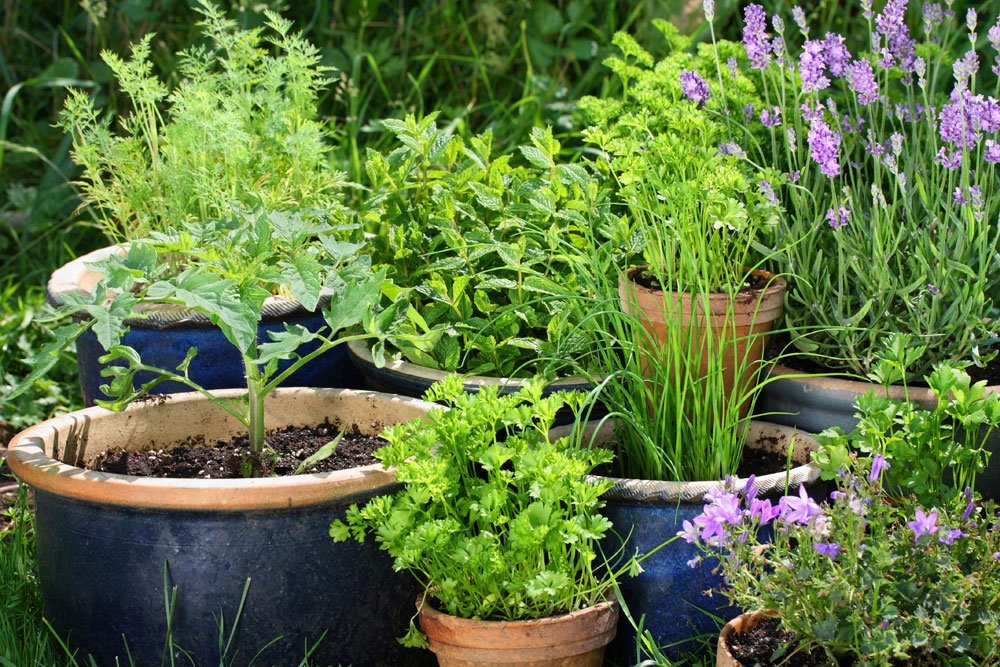 © Floydine - Fotolia.com Garten skandinavisch einrichten - Kräutergarten