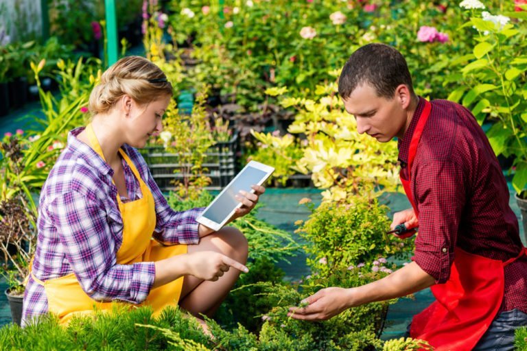 Software für Gärtnereien – Hilfreiche Assistenten für Garten- und Landschaftsbau vorgestellt