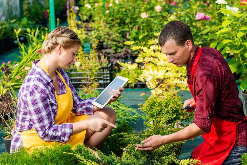 Software für Gärtnereien – Hilfreiche Assistenten für Garten- und Landschaftsbau vorgestellt