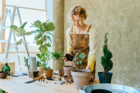 Eine junge Frau hält eine junge Bergpalme in der Hand und vor ihr auf dem Tisch steht ein Übertopf bereit zum einpflanzen.