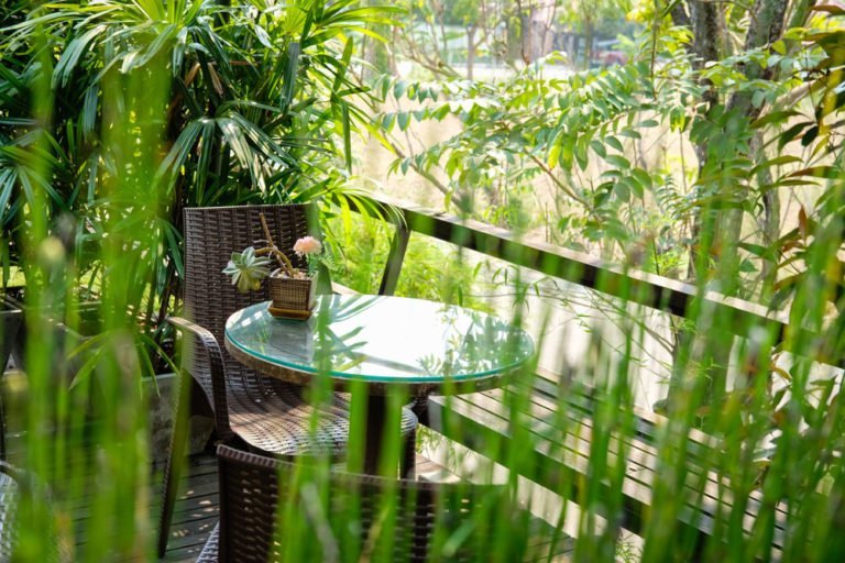 Dschungel-Feeling auf dem Balkon schaffen – Unsere Tipps für einen Urwald-Balkon