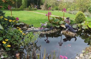 Sonnenschutz für den Gartenteich - 6 Möglichkeiten vorgestellt