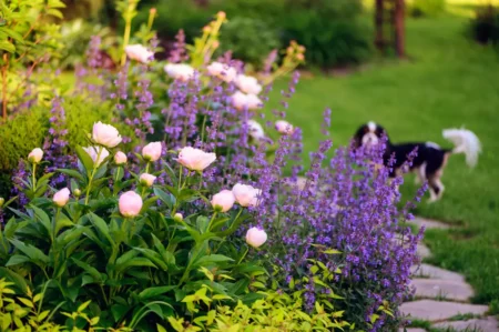Giftige Pflanzen im Garten: Unsere Übersicht Giftige Pflanzen im Garten.