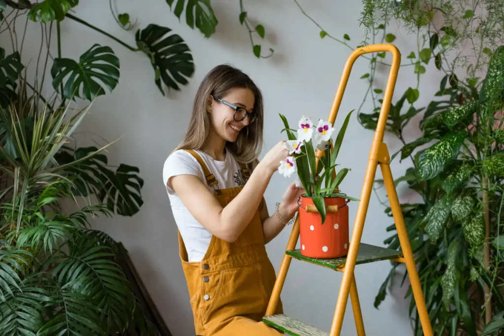 Junge Frau bewundert blühende weiße Orchidee, die im Topf auf einer Leiter steht.