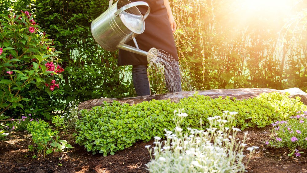 Mietergarten: Wer zahlt Gartenpflege - Mieter oder Vermieter