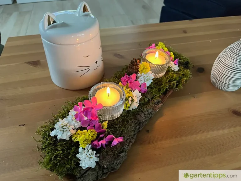 Moos trocknen und als Deko verwenden