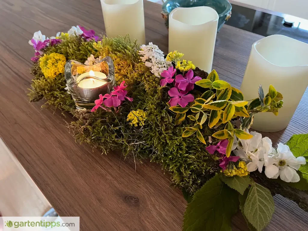 Getrocknetes Moos mit Blüten aus dem Garten